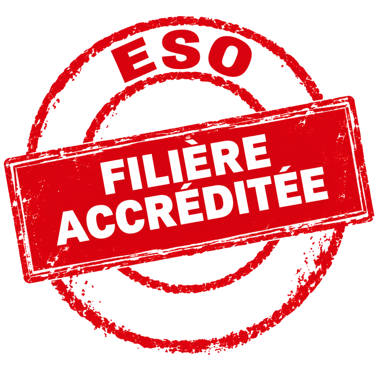 Filière accréditée ESO