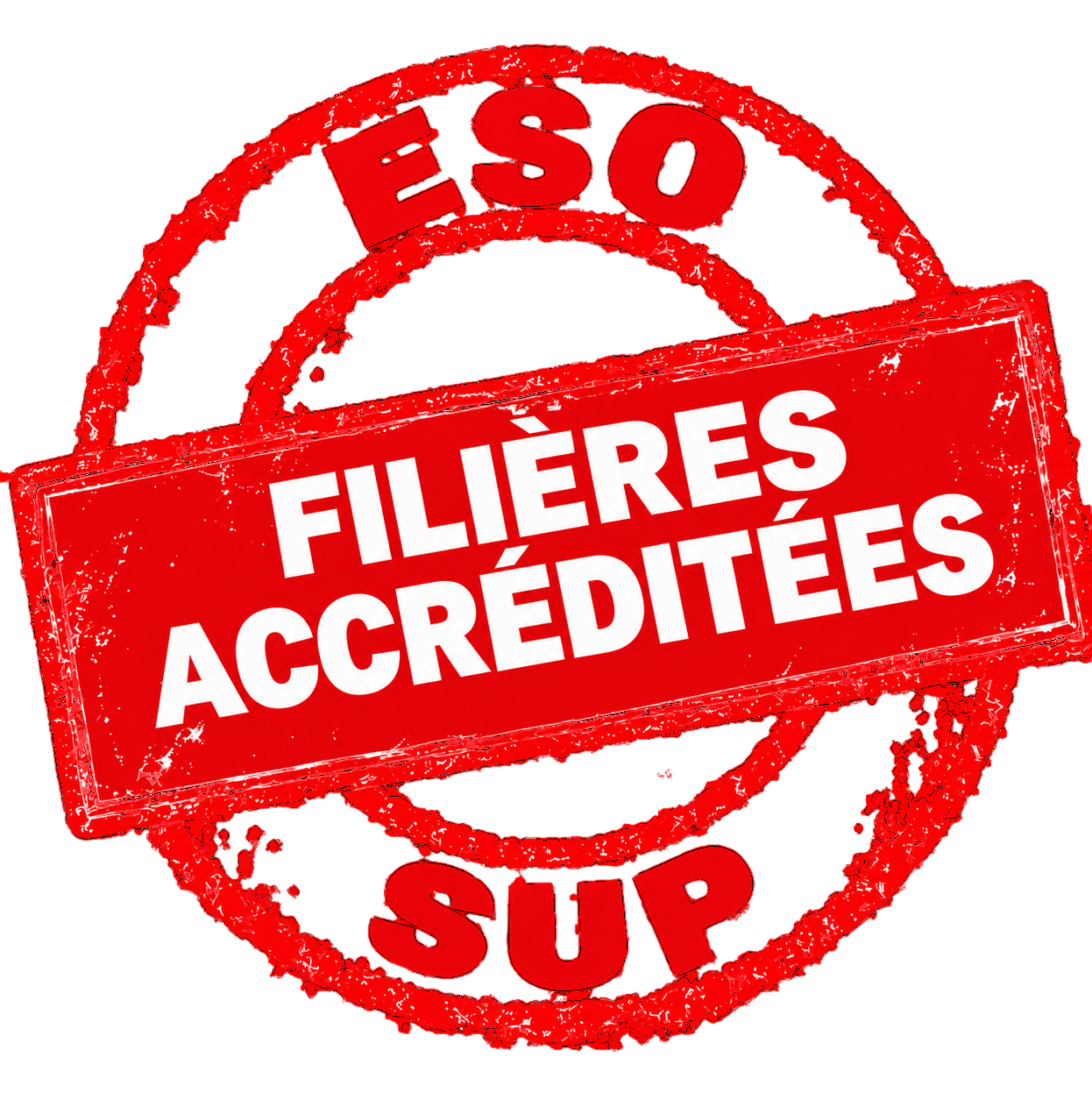 Filières ESO